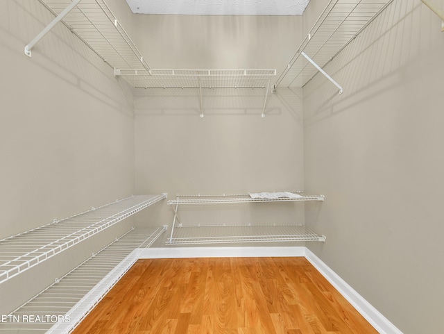 2406 Woods Smith Rd, Knoxville, TN 37921 - photo 14