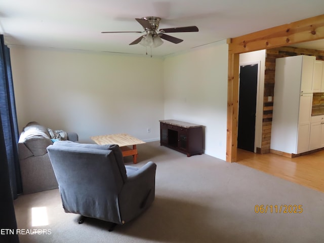 110 Dale Rd, Oakdale, TN 37829 - living room with a ceiling fan