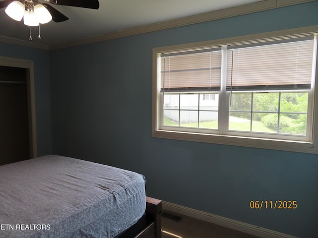 110 Dale Rd, Oakdale, TN 37829 - bedroom with multiple windows, crown molding, and ceiling fan