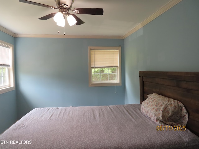 110 Dale Rd, Oakdale, TN 37829 - bedroom featuring multiple windows, ornamental molding, and a ceiling fan