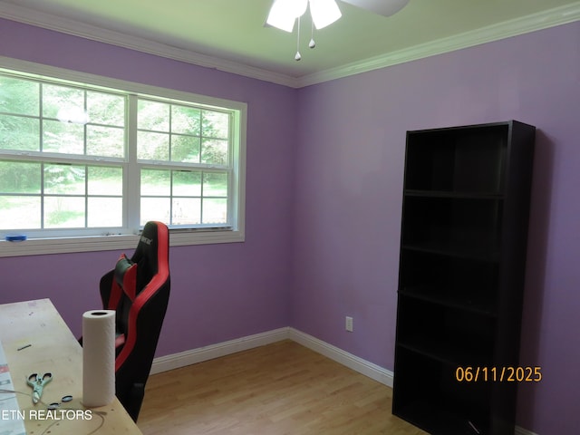 110 Dale Rd, Oakdale, TN 37829 - office space featuring a ceiling fan, light wood-style flooring, and crown molding