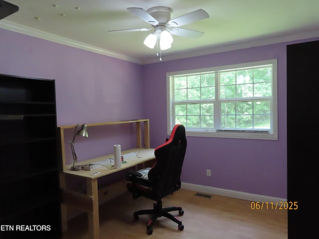110 Dale Rd, Oakdale, TN 37829 - home office featuring wood finished floors, ceiling fan, and ornamental molding