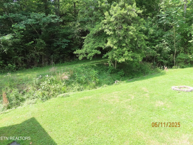 110 Dale Rd, Oakdale, TN 37829 - view of grassy yard