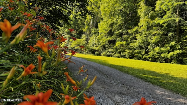 609 Lane Hollow Rd, Sevierville, TN 37876 - view of street
