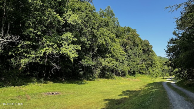 609 Lane Hollow Rd, Sevierville, TN 37876 - view of street featuring a wooded view