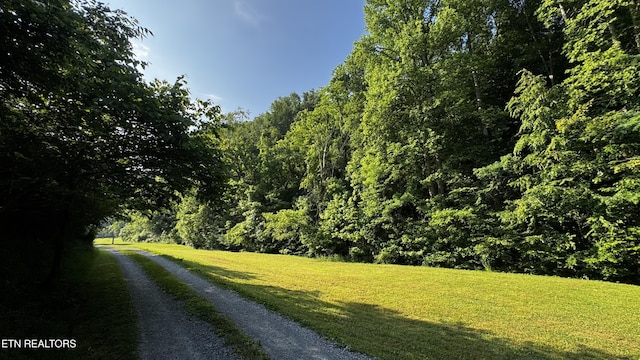 609 Lane Hollow Rd, Sevierville, TN 37876 - view of green lawn with a forest view and driveway