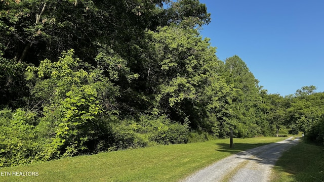 609 Lane Hollow Rd, Sevierville, TN 37876 - view of street featuring a wooded view