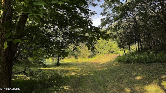 609 Lane Hollow Rd, Sevierville, TN 37876 - view of local wilderness
