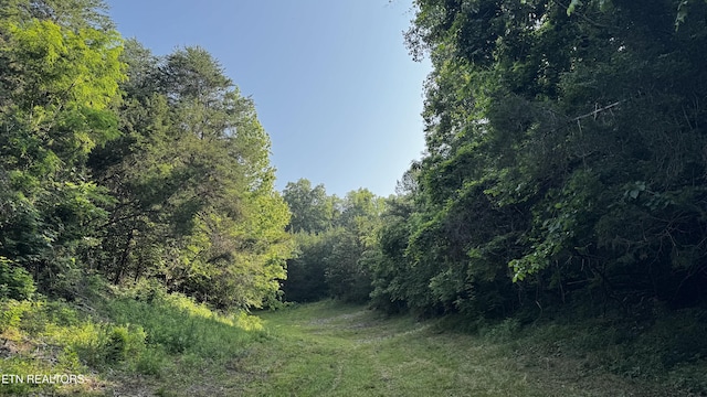 609 Lane Hollow Rd, Sevierville, TN 37876 - view of wooded area