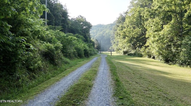 609 Lane Hollow Rd, Sevierville, TN 37876 - view of dirt / gravel road with a view of trees