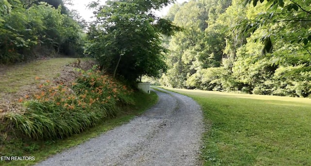 609 Lane Hollow Rd, Sevierville, TN 37876 - view of dirt / gravel road with a wooded view