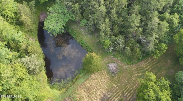 609 Lane Hollow Rd, Sevierville, TN 37876 - view of property location featuring a nearby body of water