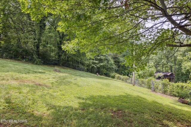 6605 Crescent Dr, Knoxville, TN 37920 - photo 41