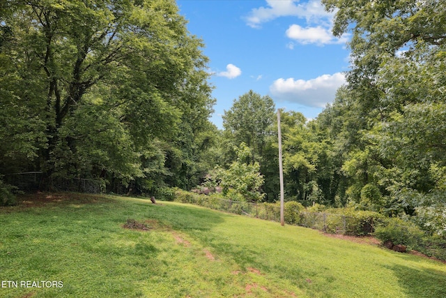 6605 Crescent Dr, Knoxville, TN 37920 - photo 43