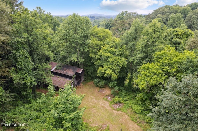 6605 Crescent Dr, Knoxville, TN 37920 - photo 50