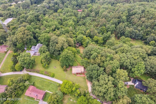 6605 Crescent Dr, Knoxville, TN 37920 - photo 51