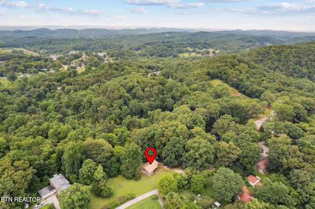 6605 Crescent Dr, Knoxville, TN 37920 - photo 52