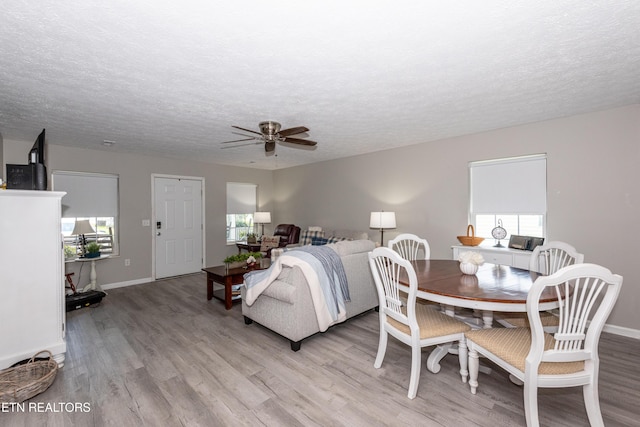 2544 Bay Meadows Way, Sevierville, TN 37876 - living room with healthy amount of natural light, light wood-type flooring, ceiling fan, and a textured ceiling