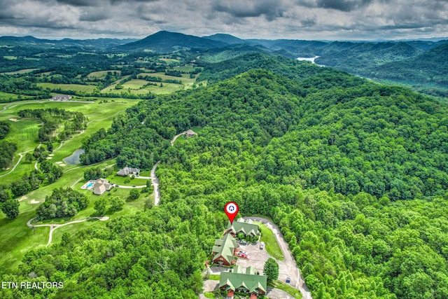152 Eagle Crst, Tazewell, TN 37879 - aerial view of a forest and a mountainous background