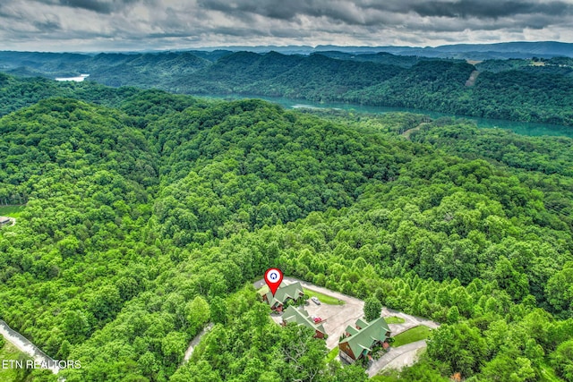 152 Eagle Crst, Tazewell, TN 37879 - bird's eye view of a forest and a water and mountain view