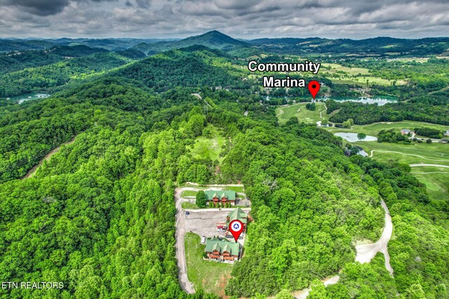 152 Eagle Crst, Tazewell, TN 37879 - bird's eye view of a water and mountain view and a heavily wooded area