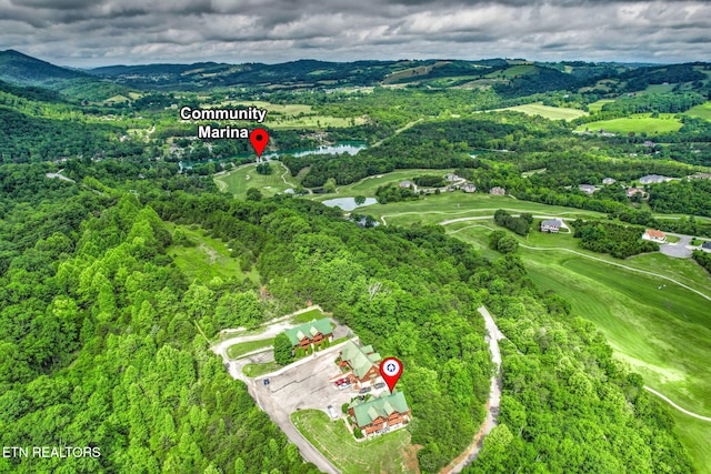 152 Eagle Crst, Tazewell, TN 37879 - aerial view of a nearby body of water and a golf club