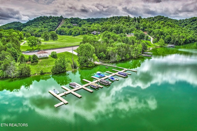 152 Eagle Crst, Tazewell, TN 37879 - aerial view of a heavily wooded area and a nearby body of water