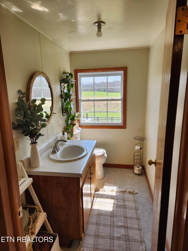 1865 Campground Rd, Clarkrange, TN 38553 - bathroom with vanity and ornamental molding