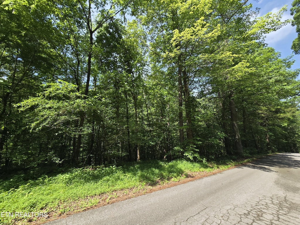 0 Orchard View Rd, Oliver Springs, TN 37840