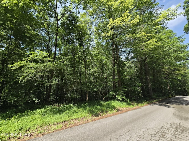 0 Orchard View Rd, Oliver Springs, TN 37840