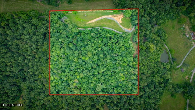 258 Knox Hollow Rd, Rogersville, TN 37857 - photo 5