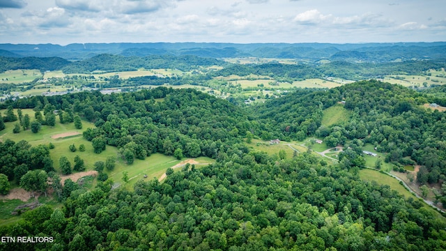 258 Knox Hollow Rd, Rogersville, TN 37857 - photo 21