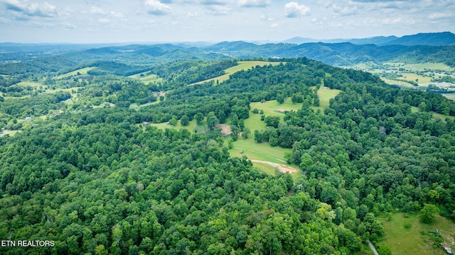 258 Knox Hollow Rd, Rogersville, TN 37857 - photo 22