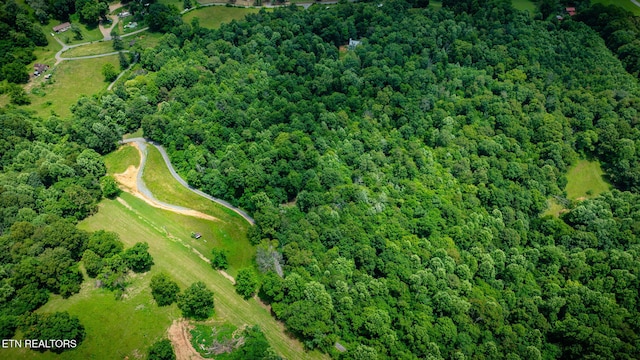 258 Knox Hollow Rd, Rogersville, TN 37857 - photo 13