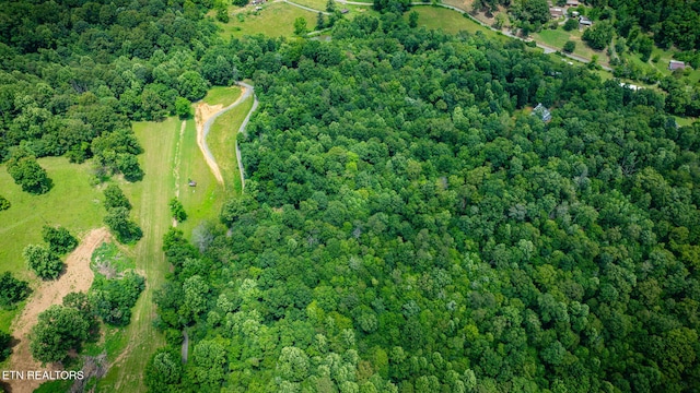 258 Knox Hollow Rd, Rogersville, TN 37857 - photo 14