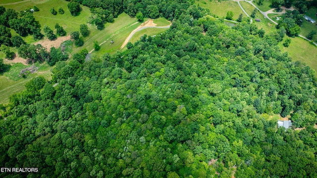 258 Knox Hollow Rd, Rogersville, TN 37857 - photo 15