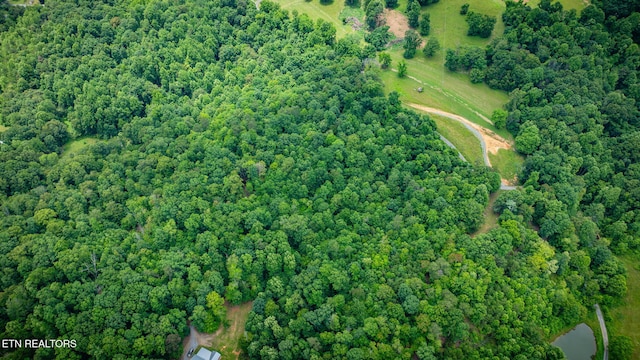 258 Knox Hollow Rd, Rogersville, TN 37857 - photo 17