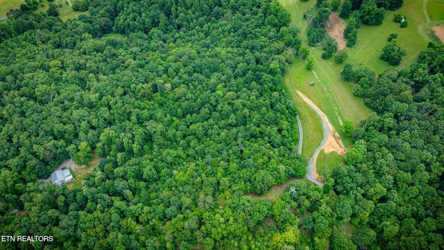 258 Knox Hollow Rd, Rogersville, TN 37857 - photo 18