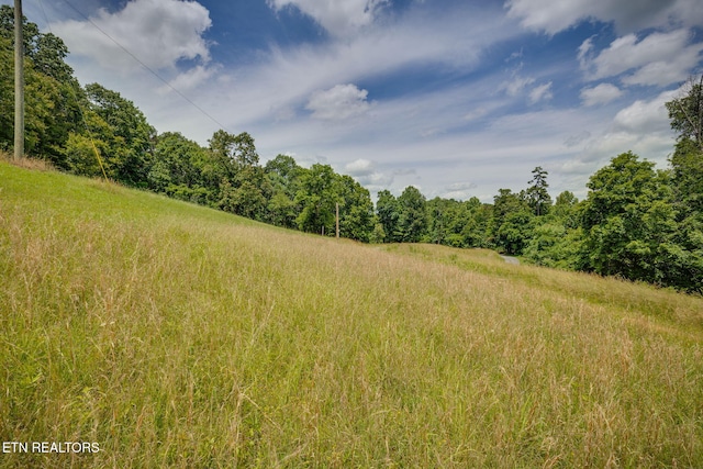 258 Knox Hollow Rd, Rogersville, TN 37857 - photo 2