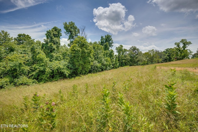 258 Knox Hollow Rd, Rogersville, TN 37857 - photo 9