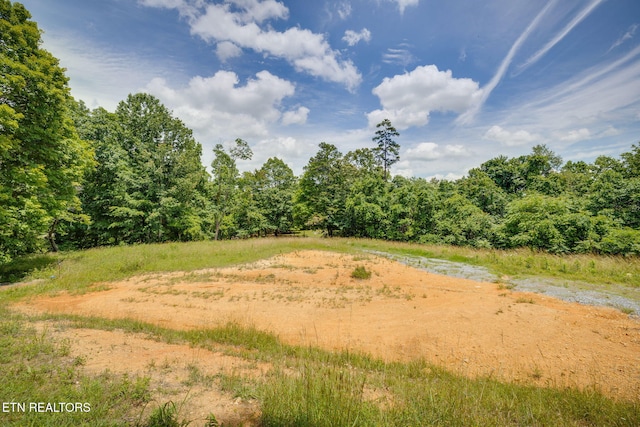 258 Knox Hollow Rd, Rogersville, TN 37857 - photo 8