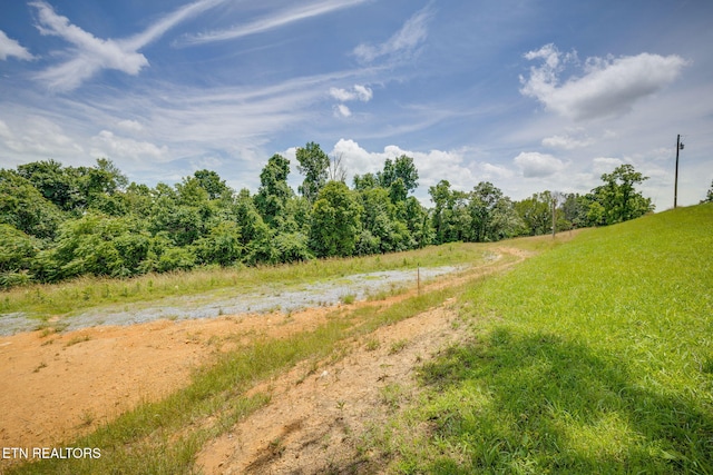 258 Knox Hollow Rd, Rogersville, TN 37857 - photo 7