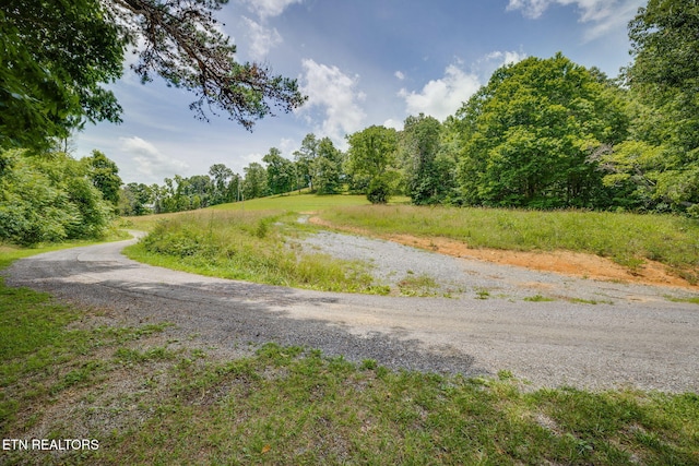 258 Knox Hollow Rd, Rogersville, TN 37857 - photo 1
