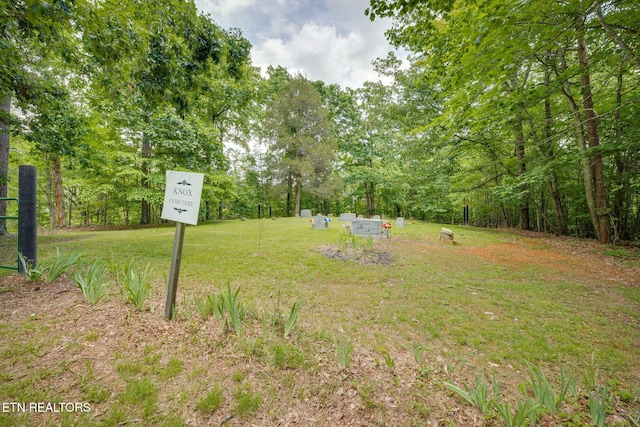 258 Knox Hollow Rd, Rogersville, TN 37857 - photo 11