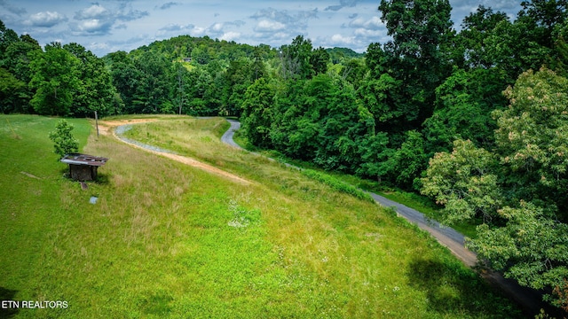 258 Knox Hollow Rd, Rogersville, TN 37857 - photo 4