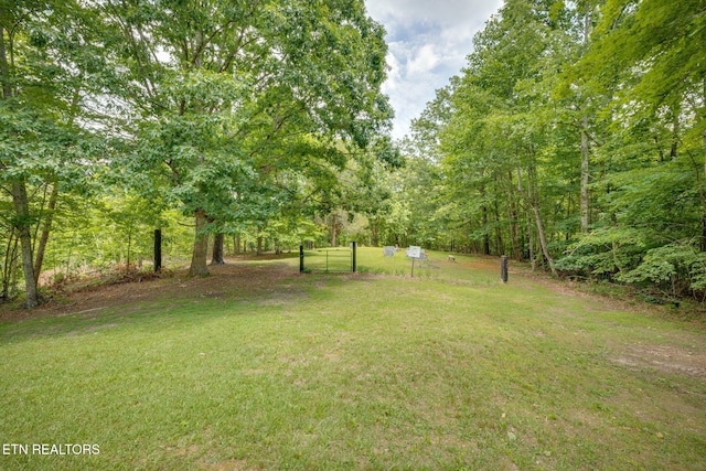 258 Knox Hollow Rd, Rogersville, TN 37857 - photo 3