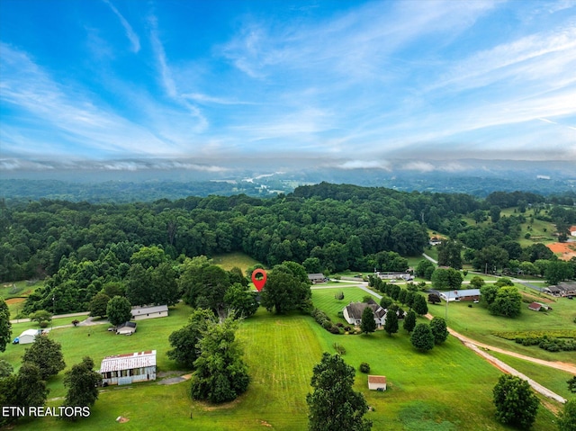 3803 Strong Rd, Mascot, TN 37806 - photo 31