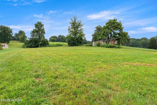 3803 Strong Rd, Mascot, TN 37806 - photo 24