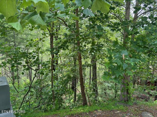 LOT18 Turkey Creek Way, Sevierville, TN 37862 - photo 3