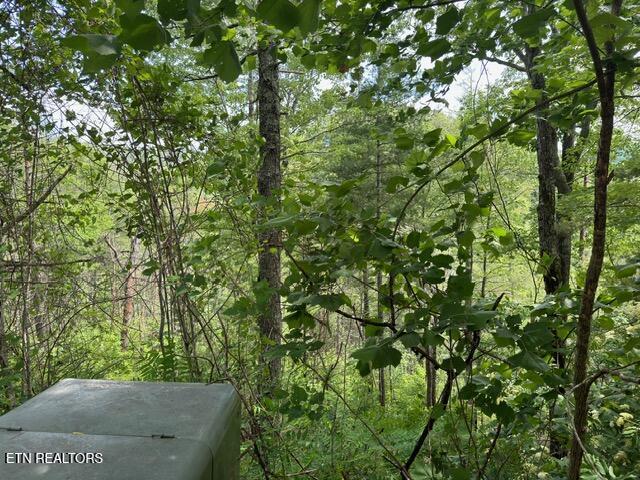 LOT18 Turkey Creek Way, Sevierville, TN 37862 - photo 4